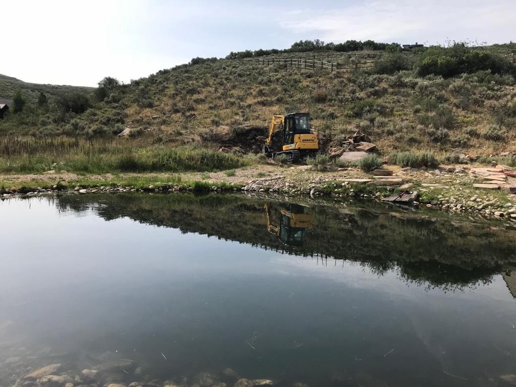 Excavated pond and shoreline landscape