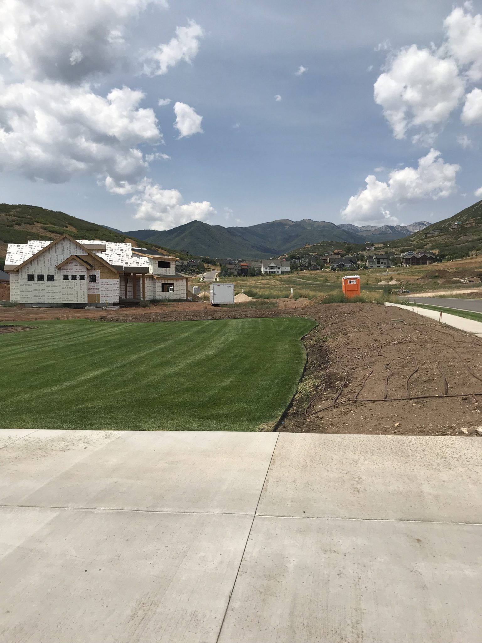 Newly laid sod and finished concrete drive